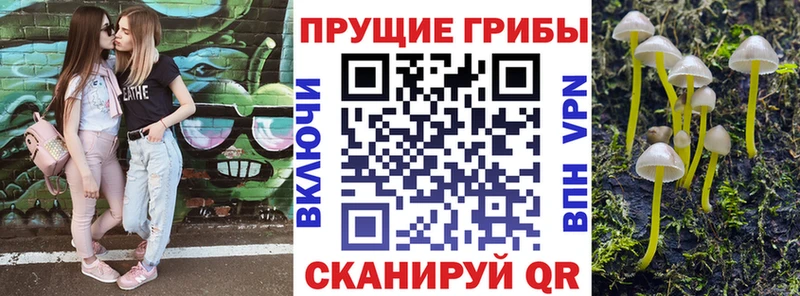 наркошоп  Ярцево  Галлюциногенные грибы прущие грибы 